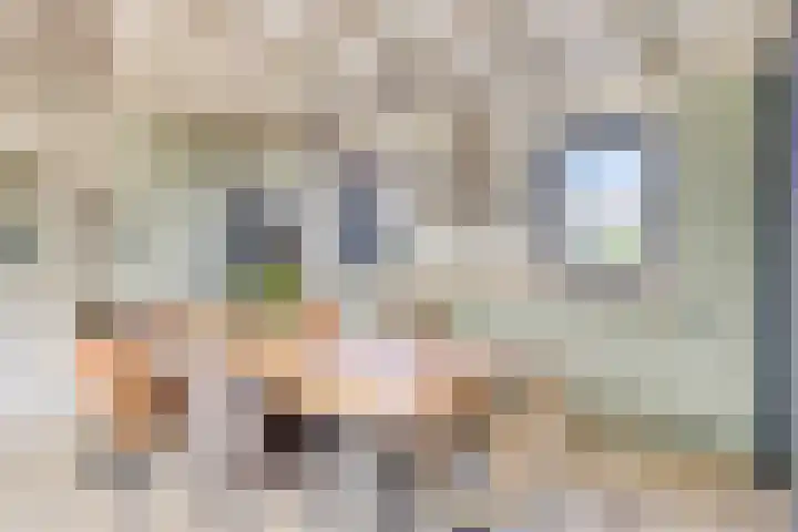 Mauritsweg 76 Renesse thumbnail 13