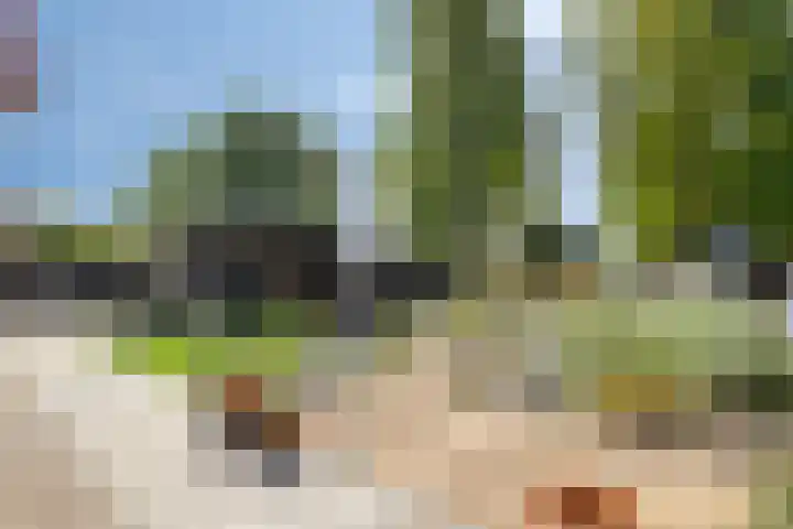 Mauritsweg 76 Renesse thumbnail 24