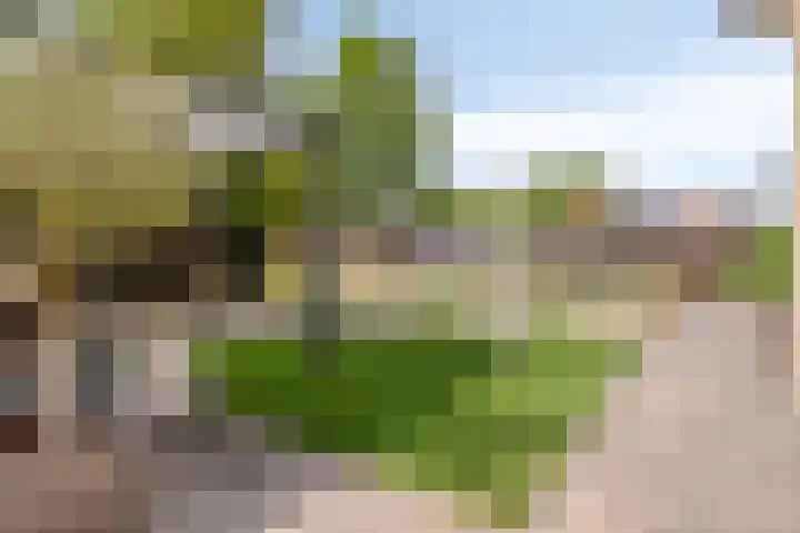Mauritsweg 76 Renesse thumbnail 25