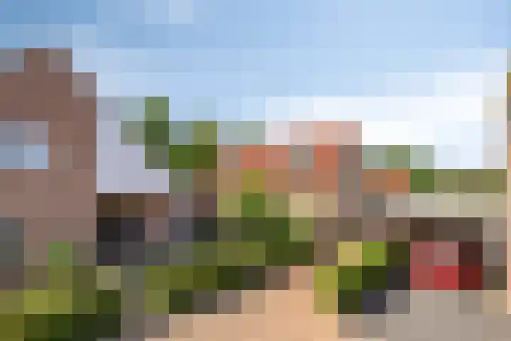 Mauritsweg 76 Renesse thumbnail 33