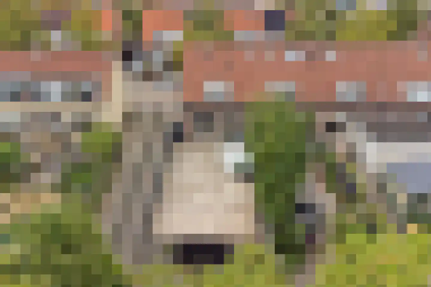 Mauritsweg 78 Ridderkerk thumbnail 28