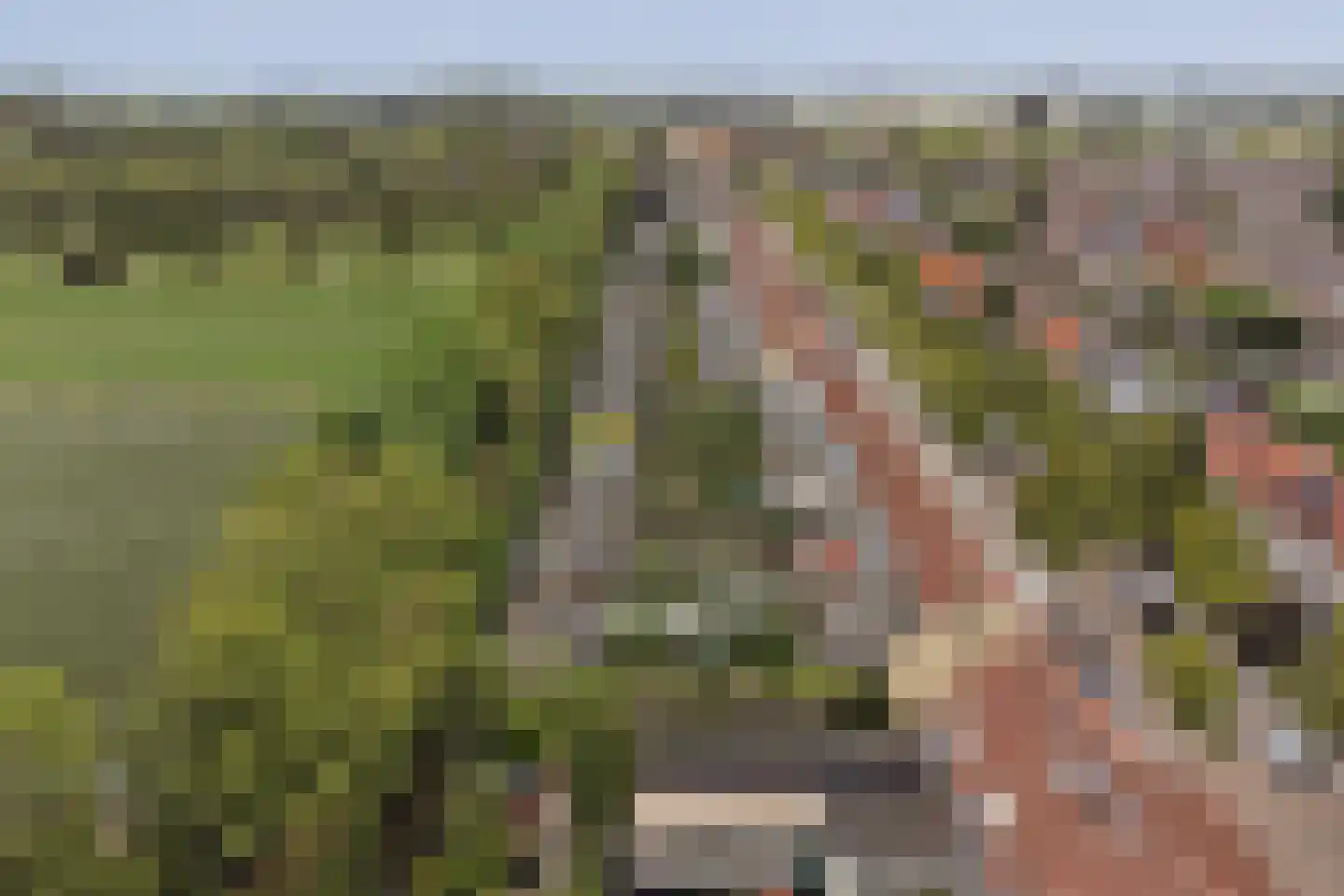 Mauritsweg 78 Ridderkerk thumbnail 30