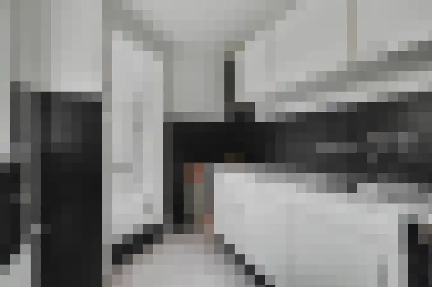 Mauritsweg 78 Ridderkerk thumbnail 8