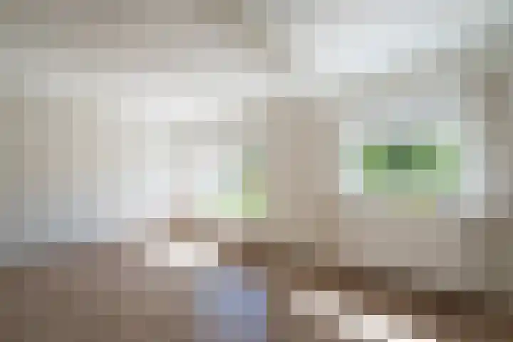 Mauritsweg 8 Lochem thumbnail 8