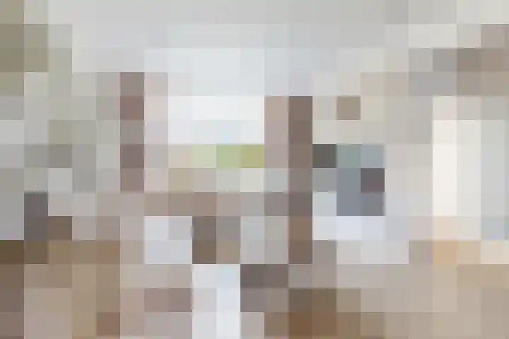 Mauritsweg 84 Klundert thumbnail 11