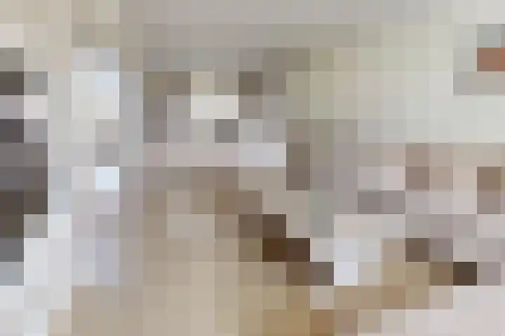 Mauritsweg 84 Klundert thumbnail 13