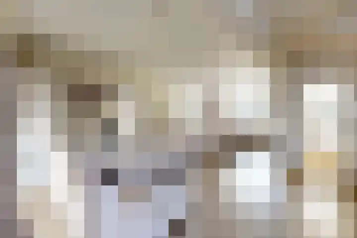 Mauritsweg 84 Klundert thumbnail 18