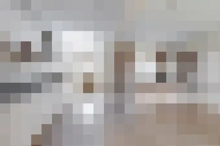 Mauritsweg 84 Klundert thumbnail 19