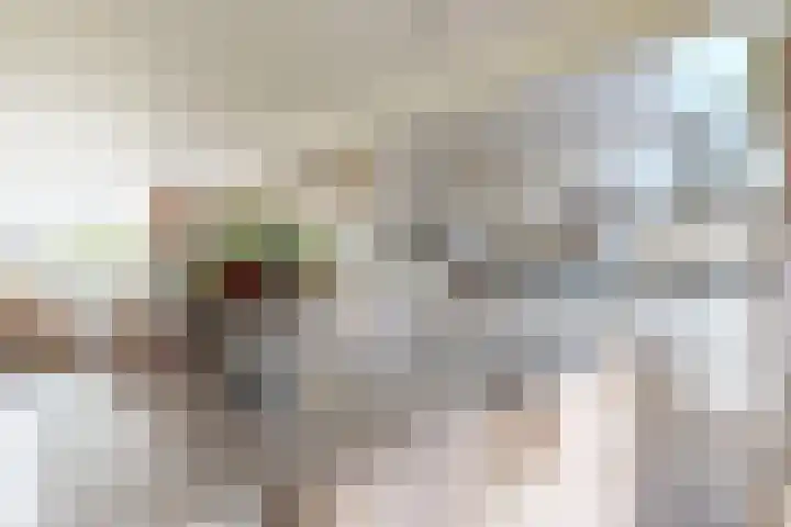 Mauritsweg 84 Klundert thumbnail 22