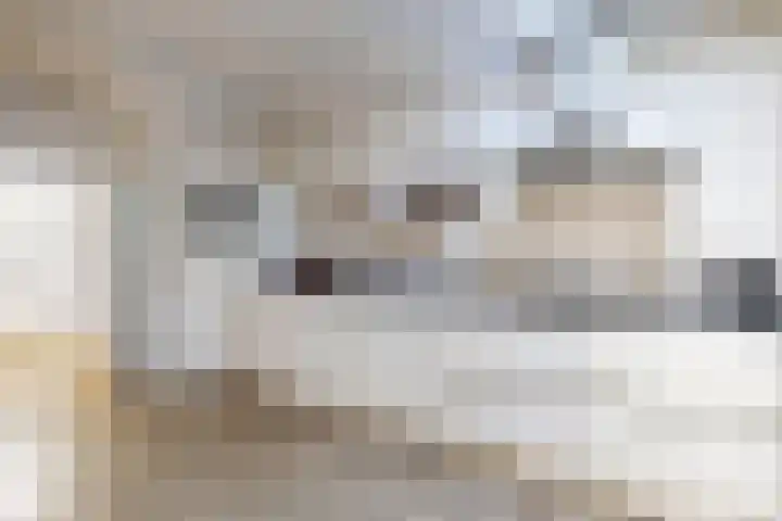 Mauritsweg 84 Klundert thumbnail 24