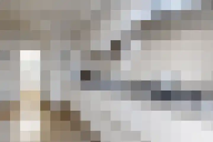 Mauritsweg 84 Klundert thumbnail 25