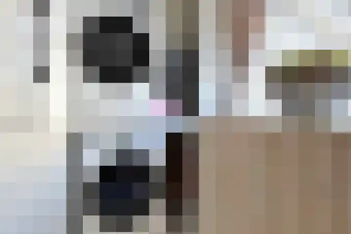 Mauritsweg 84 Klundert thumbnail 26