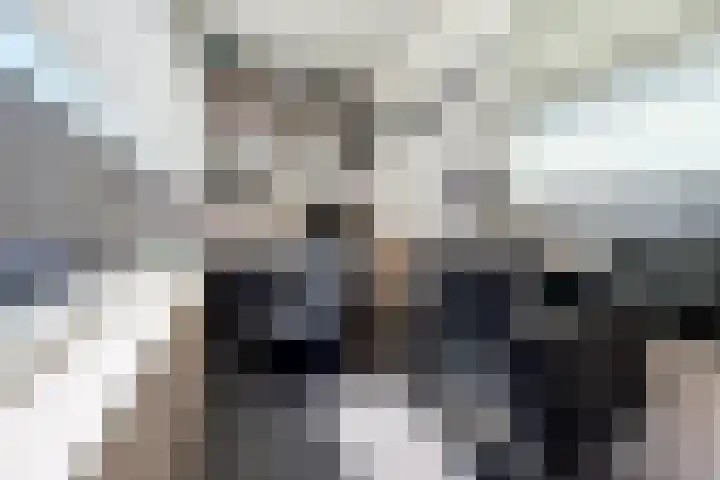 Mauritsweg 84 Klundert thumbnail 4
