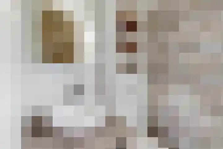 Mauritsweg 84 Klundert thumbnail 40
