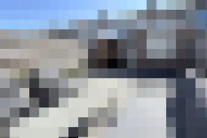 Mauritsweg 84 Klundert thumbnail 52