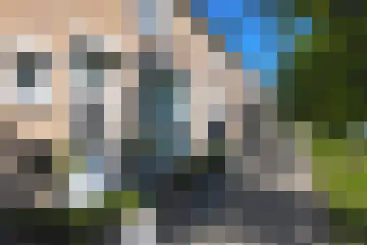Mauritsweg 84 Klundert thumbnail 55