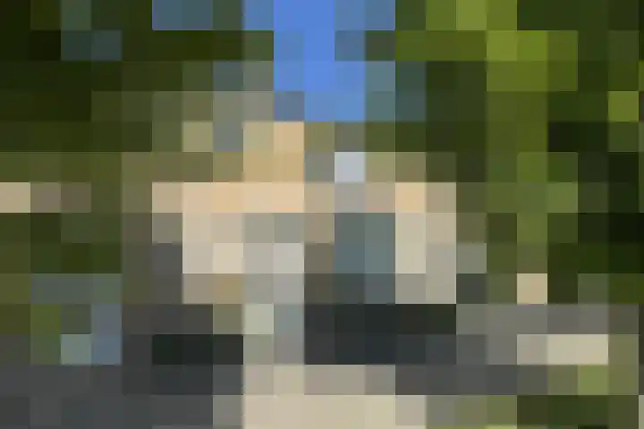 Mauritsweg 84 Klundert thumbnail 57