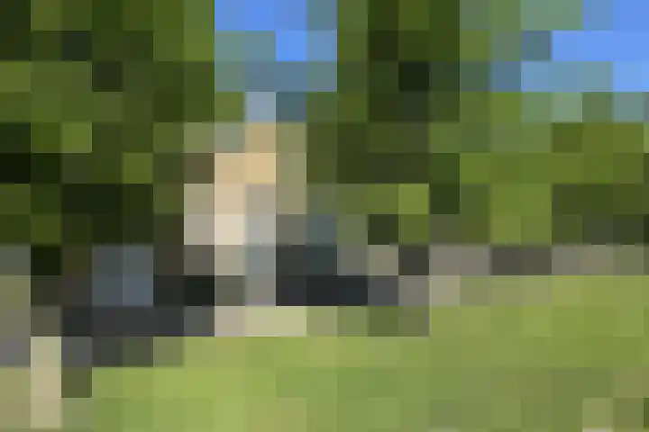 Mauritsweg 84 Klundert thumbnail 59