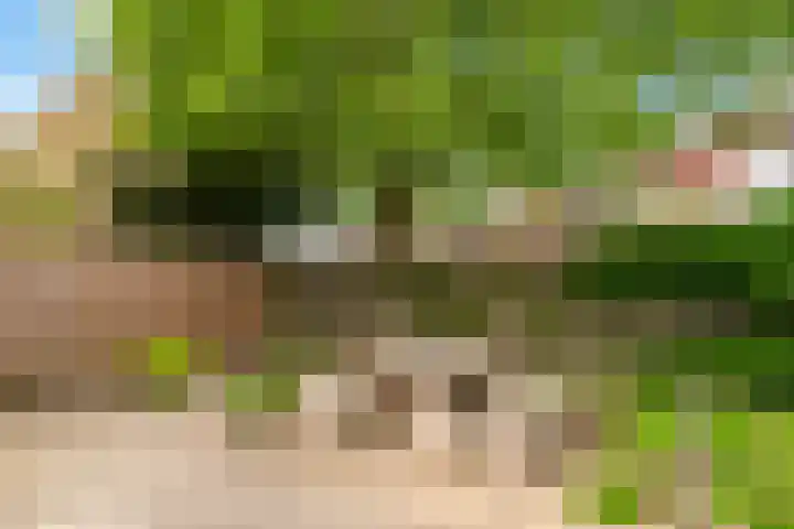 Mauritsweg 86 Stein thumbnail 17