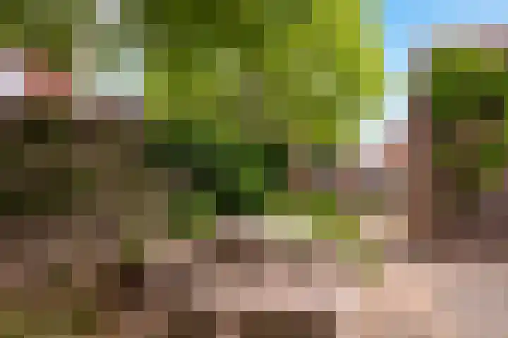 Mauritsweg 86 Stein thumbnail 18