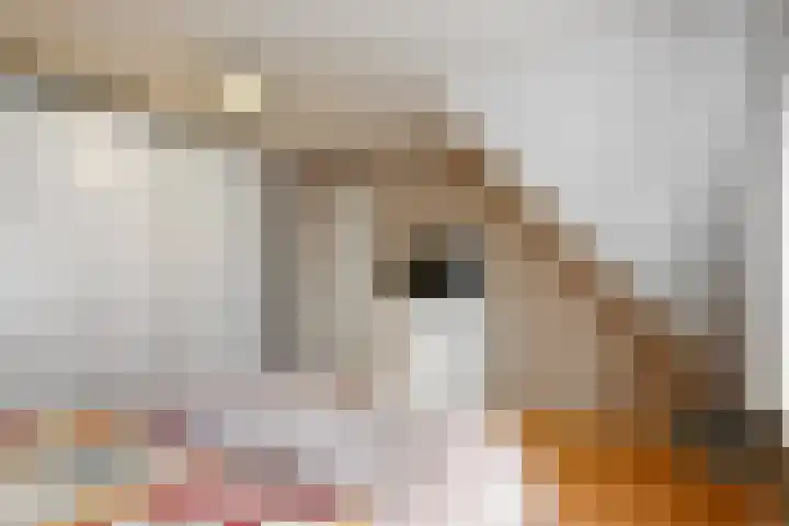 Mauritsweg 97 Stein thumbnail 18