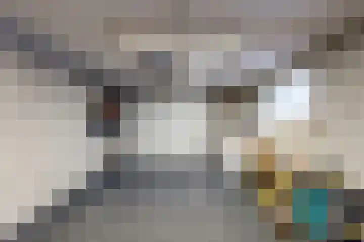 Mauritsweg 97 Stein thumbnail 25