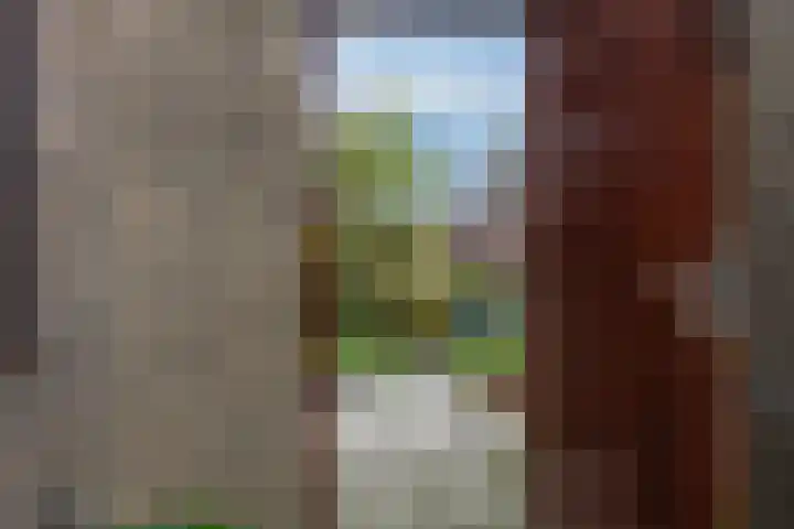 Maussenlaan 3 Landgraaf thumbnail 27