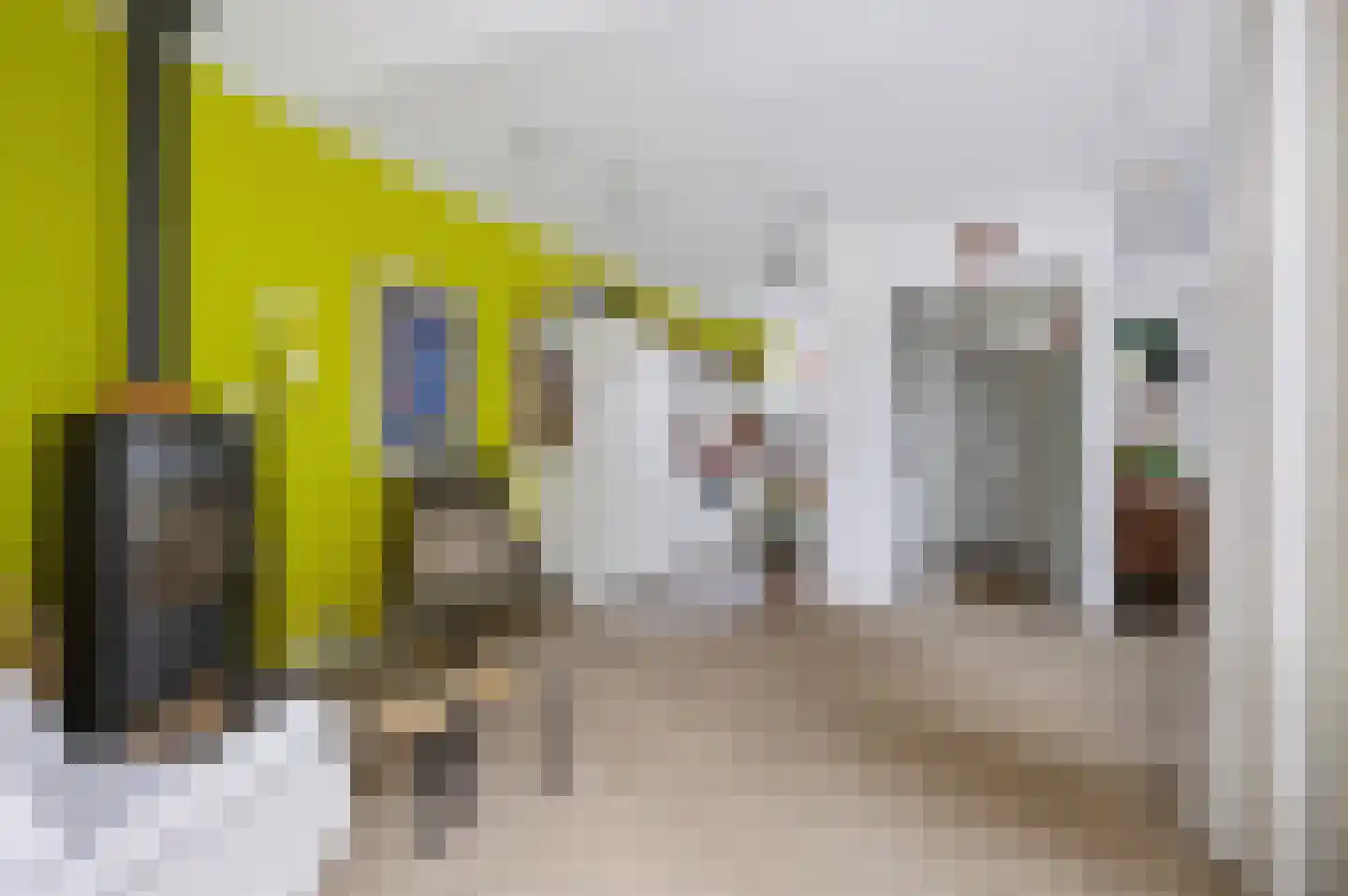 Mauvekant 15 Nunspeet thumbnail 14