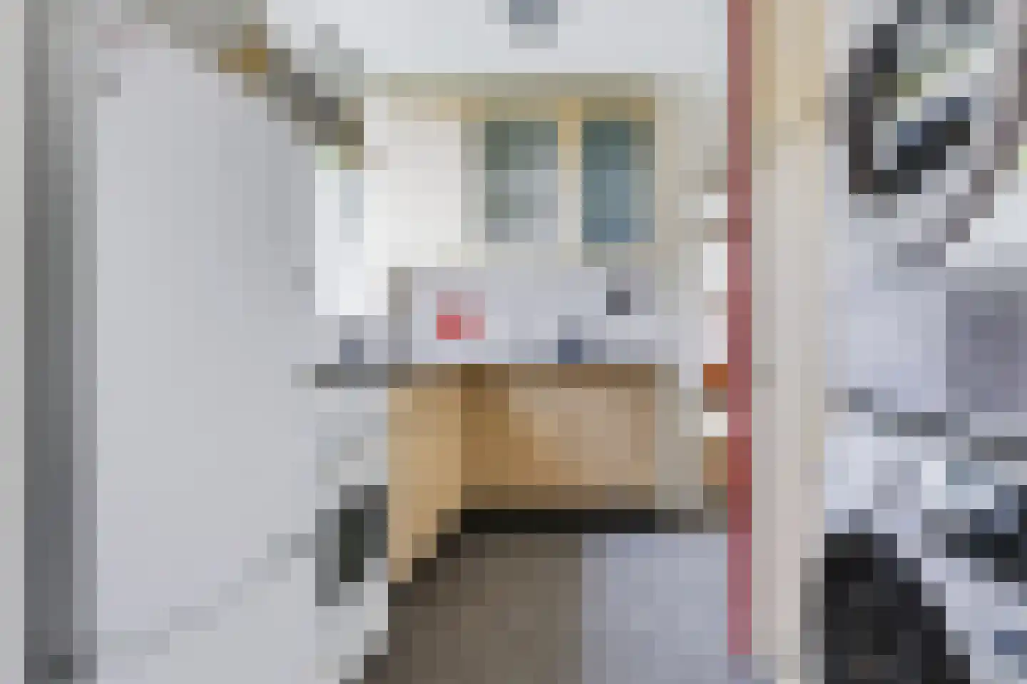Mauvekant 15 Nunspeet thumbnail 19