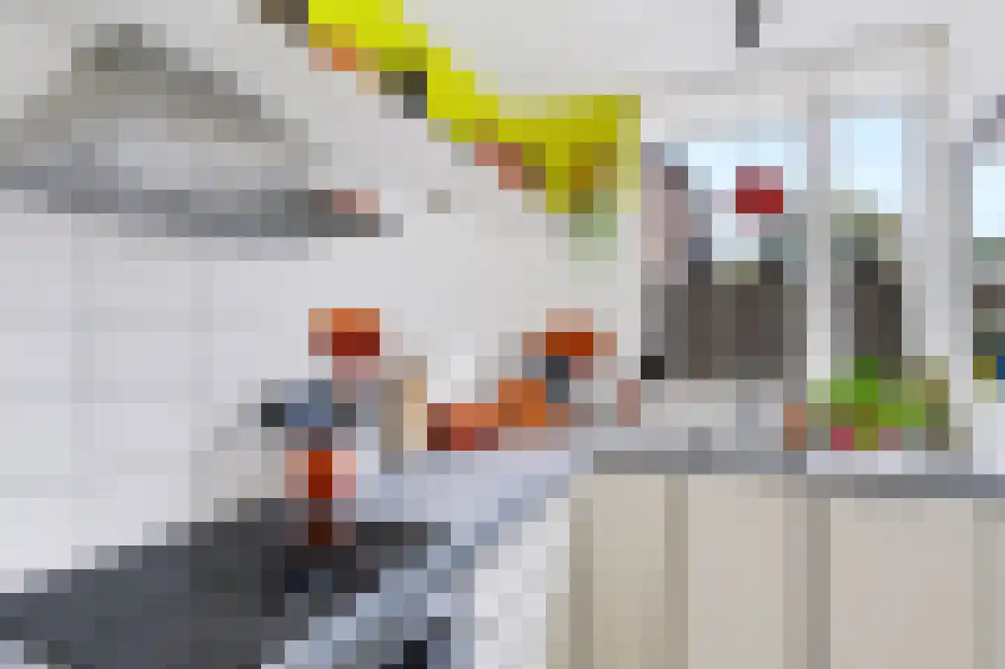 Mauvekant 15 Nunspeet thumbnail 22