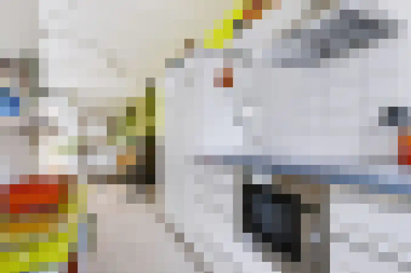 Mauvekant 15 Nunspeet thumbnail 23