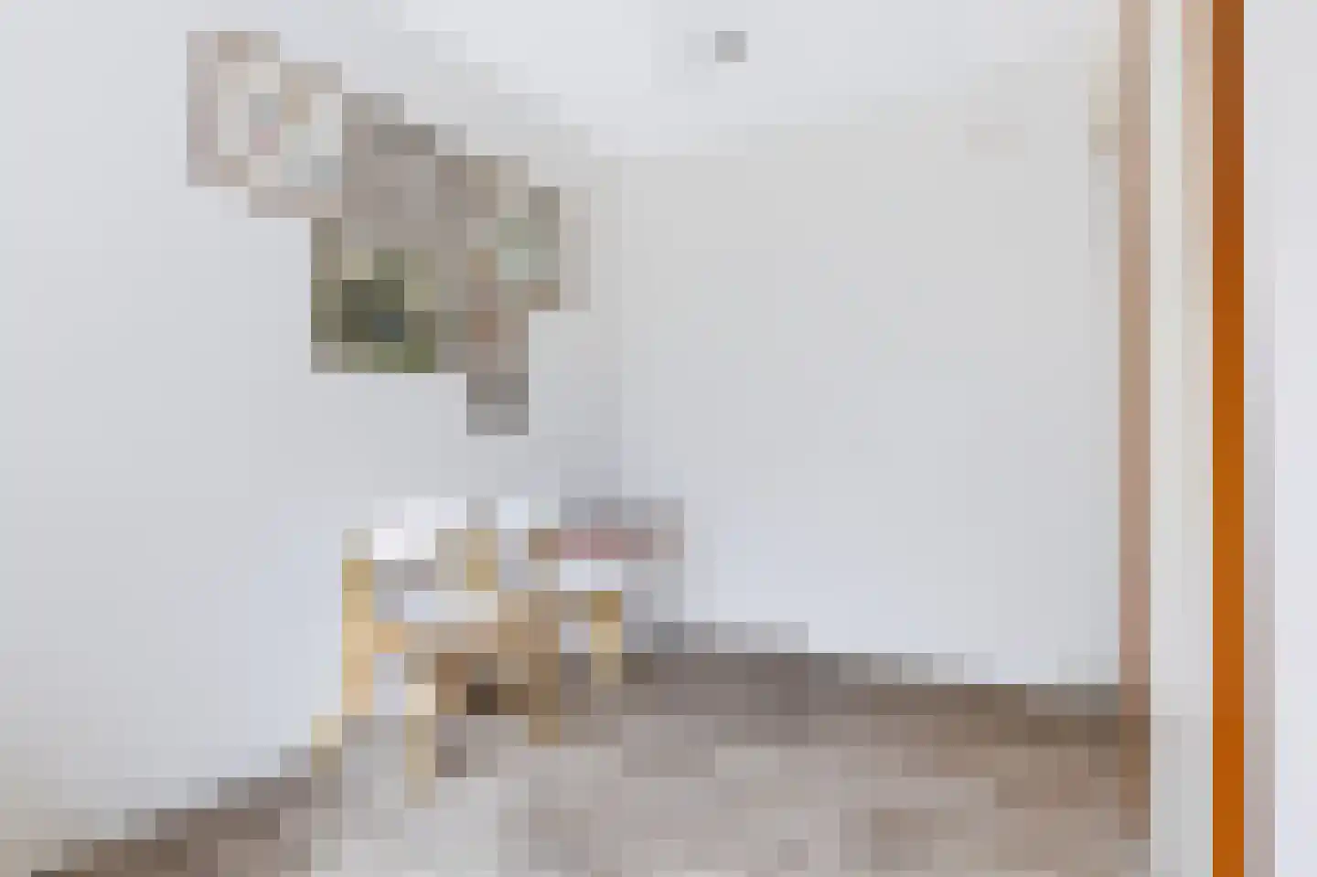 Mauvekant 15 Nunspeet thumbnail 26