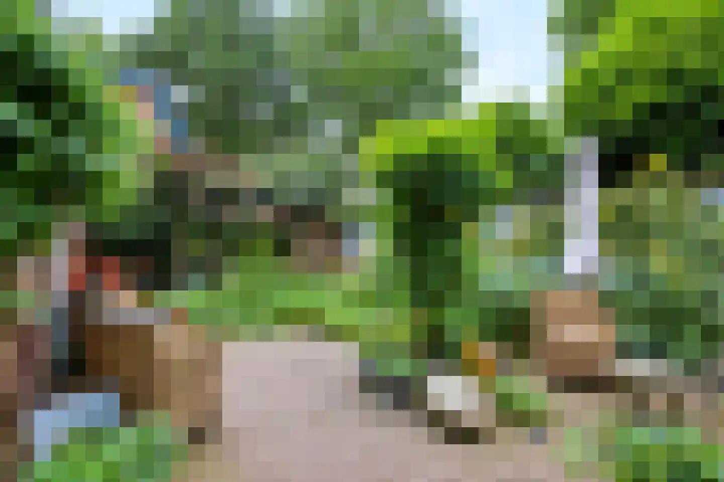 Mauvekant 15 Nunspeet thumbnail 27