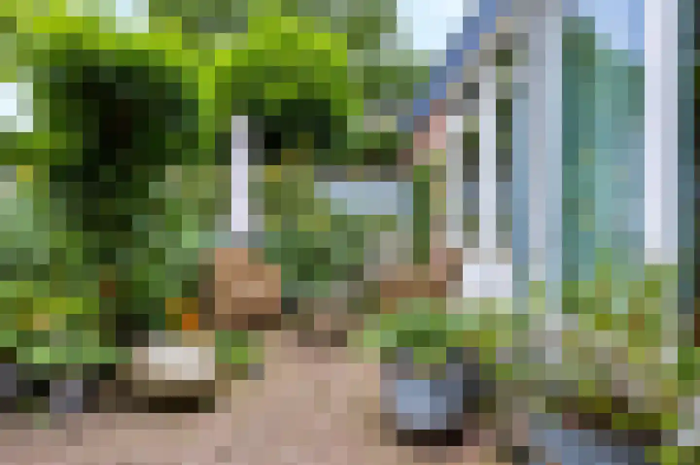 Mauvekant 15 Nunspeet thumbnail 28