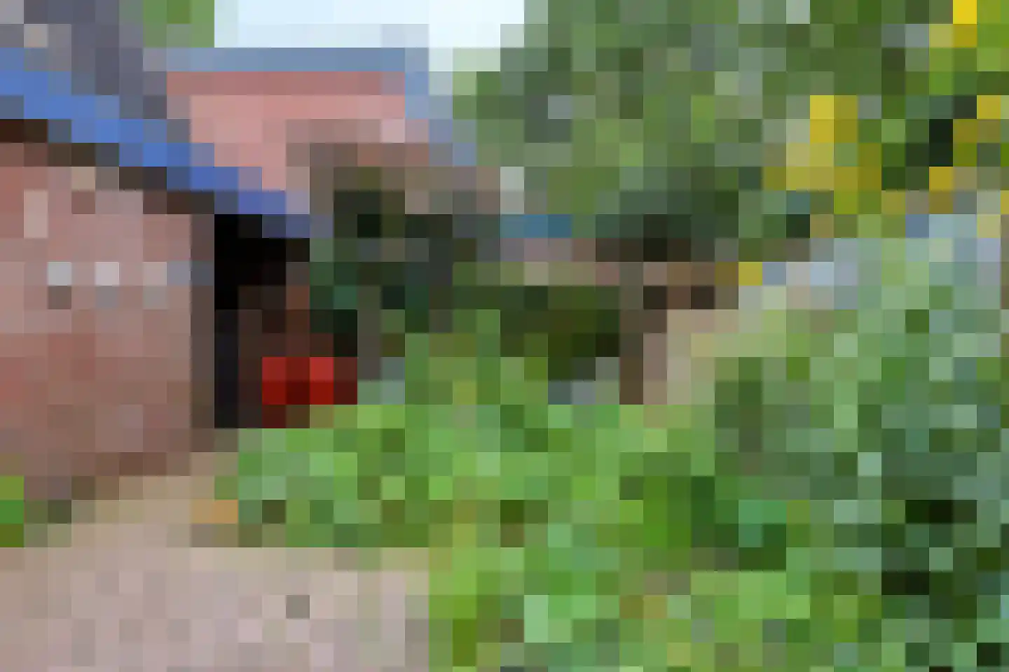 Mauvekant 15 Nunspeet thumbnail 30
