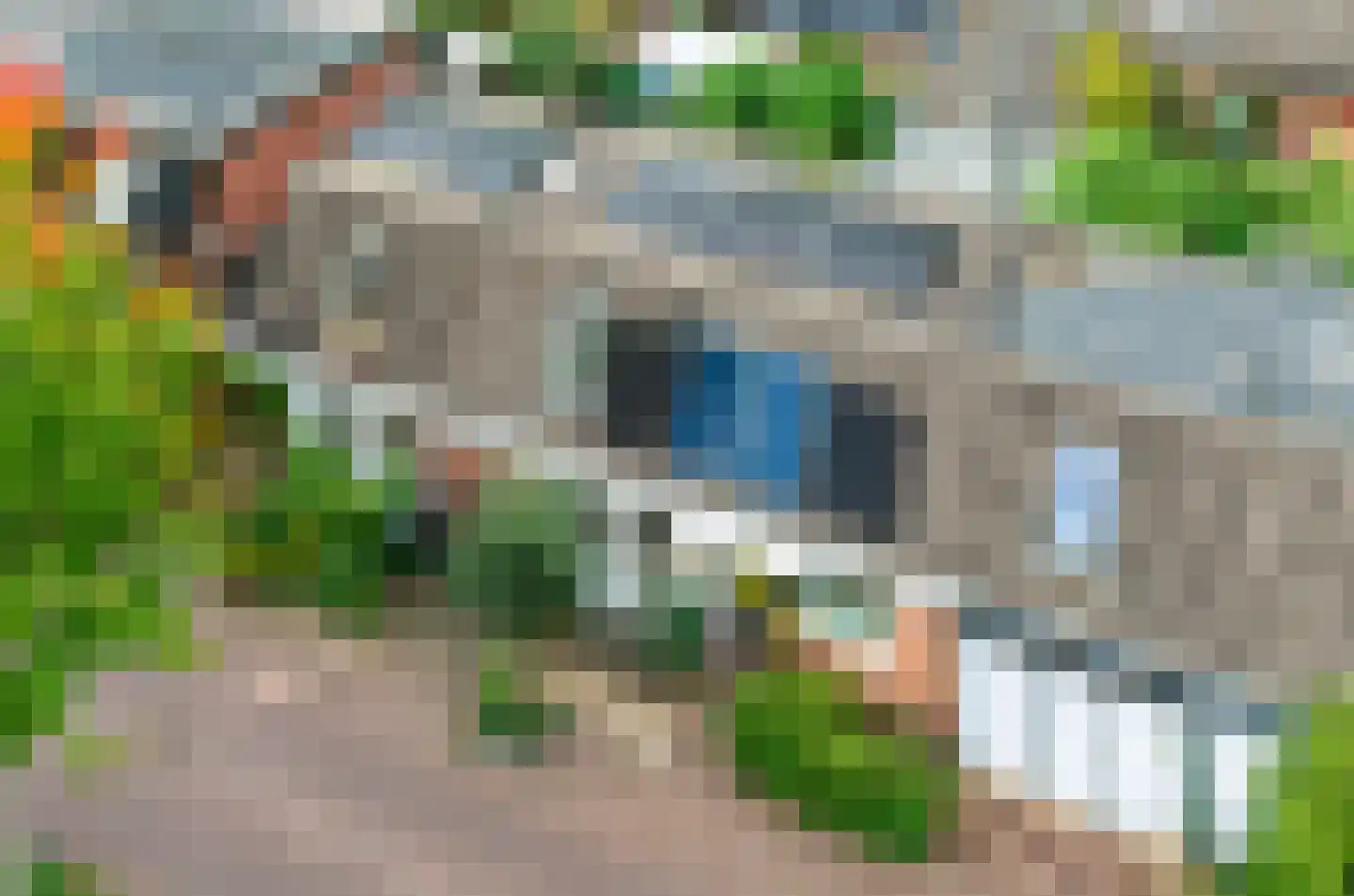 Mauvekant 15 Nunspeet thumbnail 6
