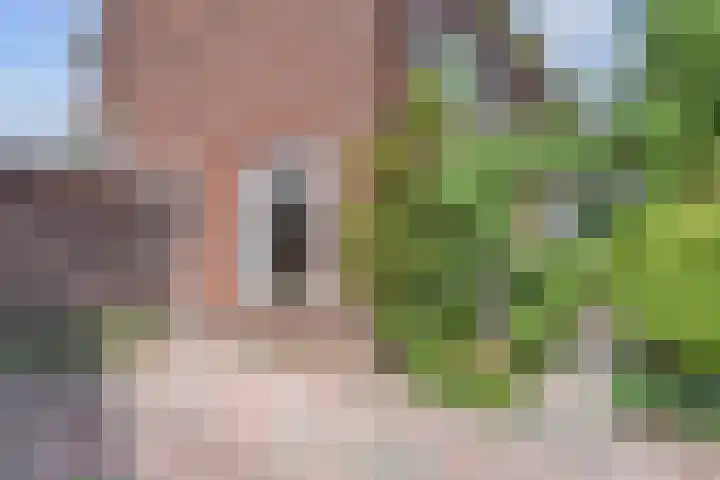 Mauvelaan 19 Leidschendam thumbnail 6