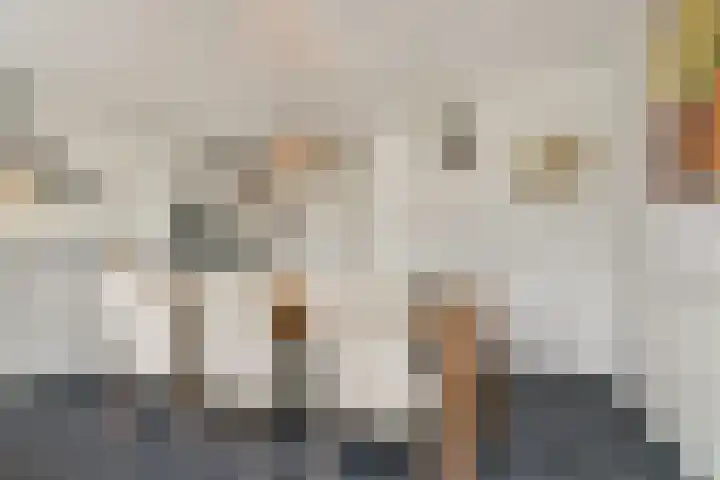 Mauvelaan 22 Rotterdam thumbnail 10