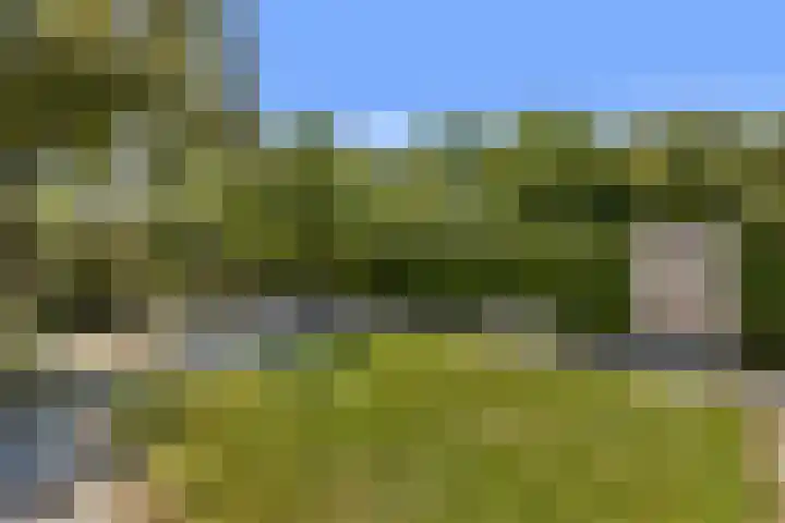Mauvelaan 22 Rotterdam thumbnail 11