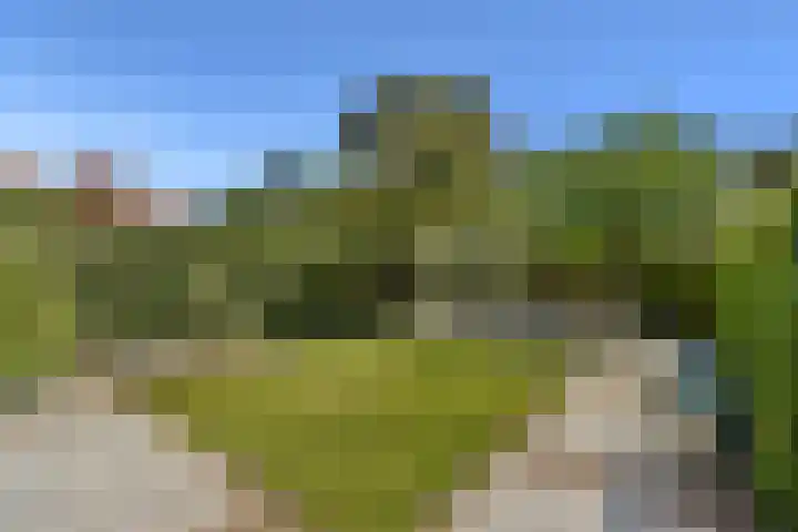 Mauvelaan 22 Rotterdam thumbnail 12