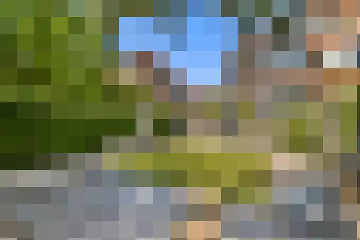 Mauvelaan 22 Rotterdam thumbnail 14