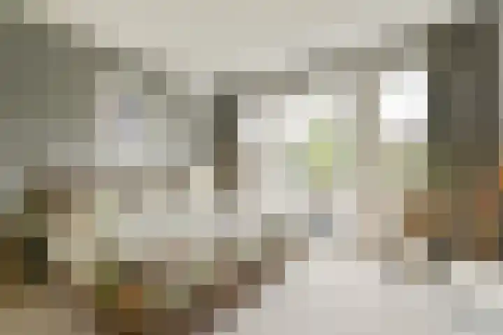 Mauvelaan 22 Rotterdam thumbnail 19