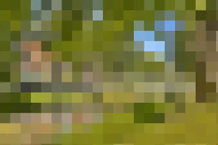 Mauvelaan 22 Rotterdam thumbnail 37