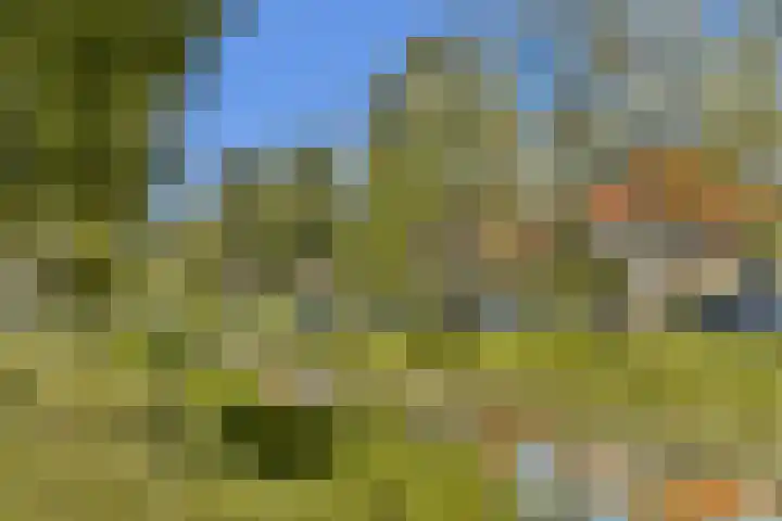 Mauvelaan 22 Rotterdam thumbnail 38