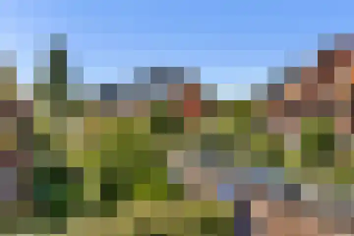 Mauvelaan 22 Rotterdam thumbnail 39