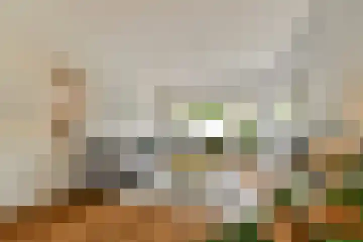 Mauvelaan 22 Rotterdam thumbnail 4