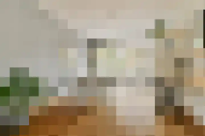 Mauvelaan 22 Rotterdam thumbnail 5