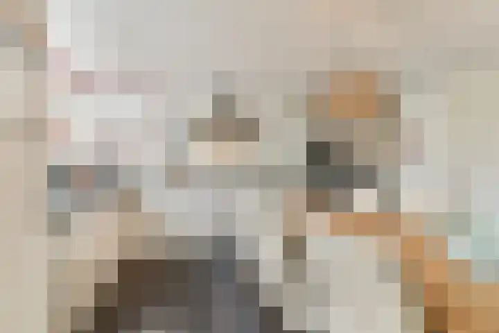 Mauvelaan 22 Rotterdam thumbnail 9