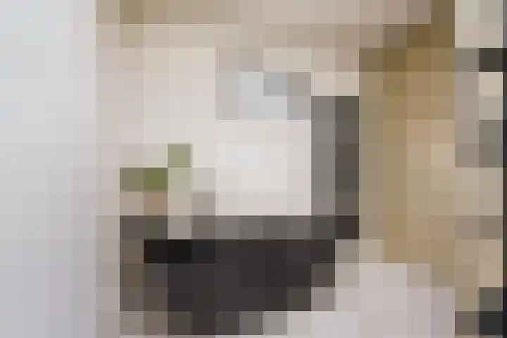 Mauvestraat 1 Waalwijk thumbnail 35