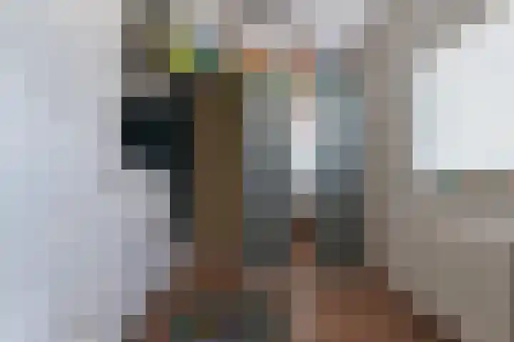 Mauvestraat 1 Waalwijk thumbnail 43